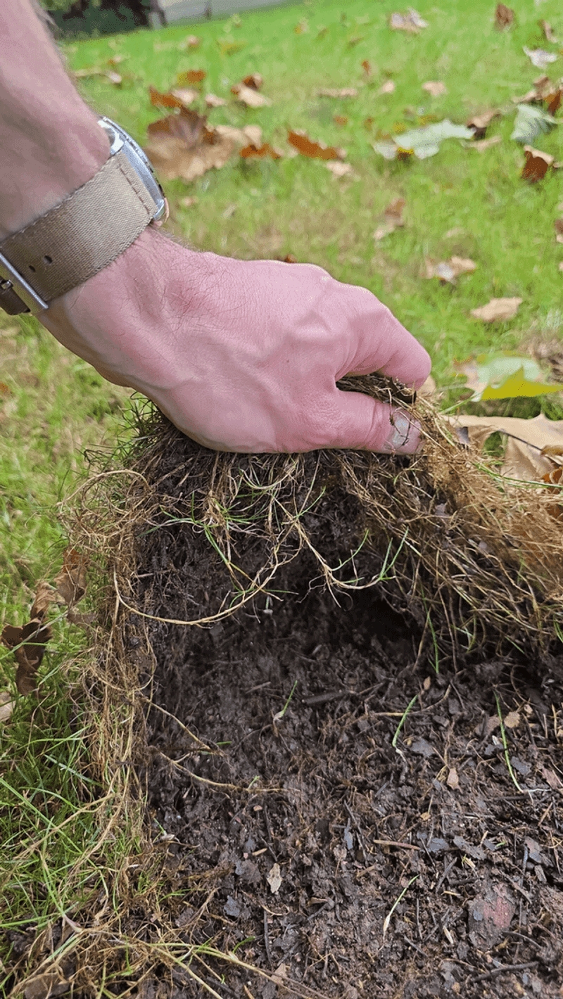 Extra Organic Matter Loosens Soil For Deeper Roots Extra Organic Matter Loosens Soil For Deeper Roots