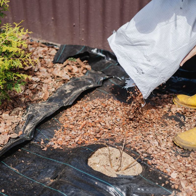 Fabric Cuts Off Air To The Soil