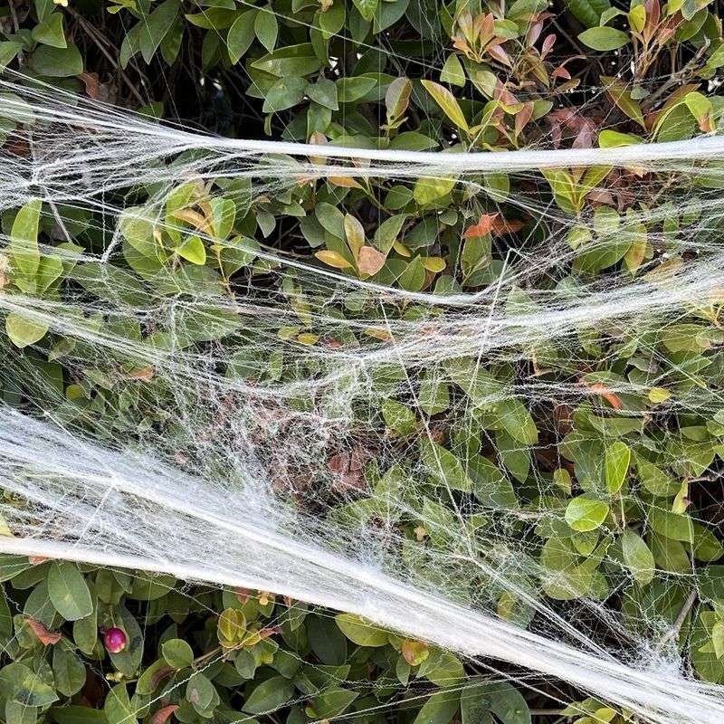 Fake Spider Webs Are Stronger Than They Look Fake Spider Webs Are Stronger Than They Look