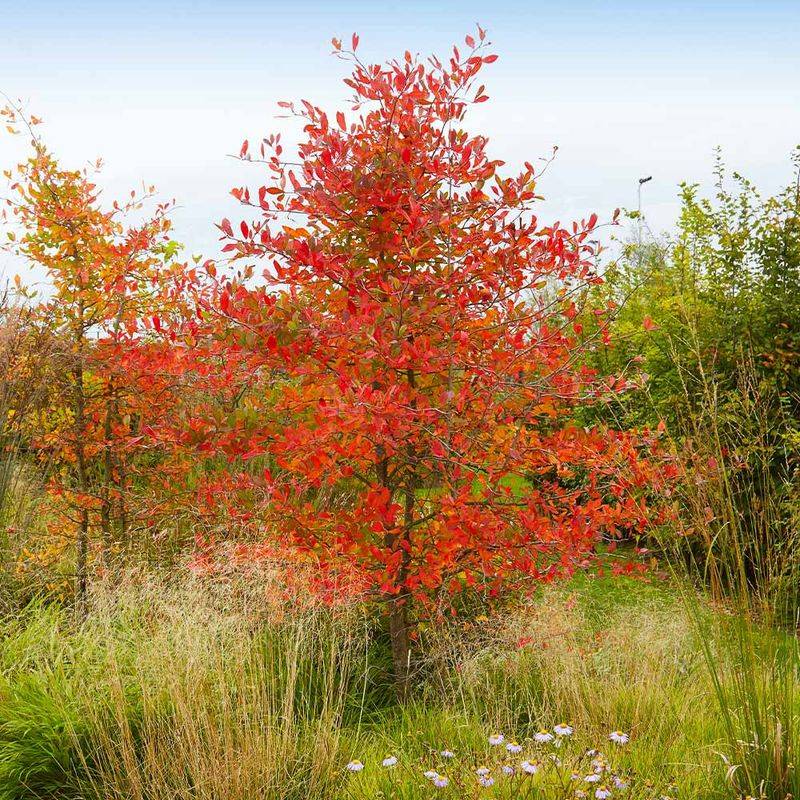 Fall Color And Year Round Charm In North Carolina