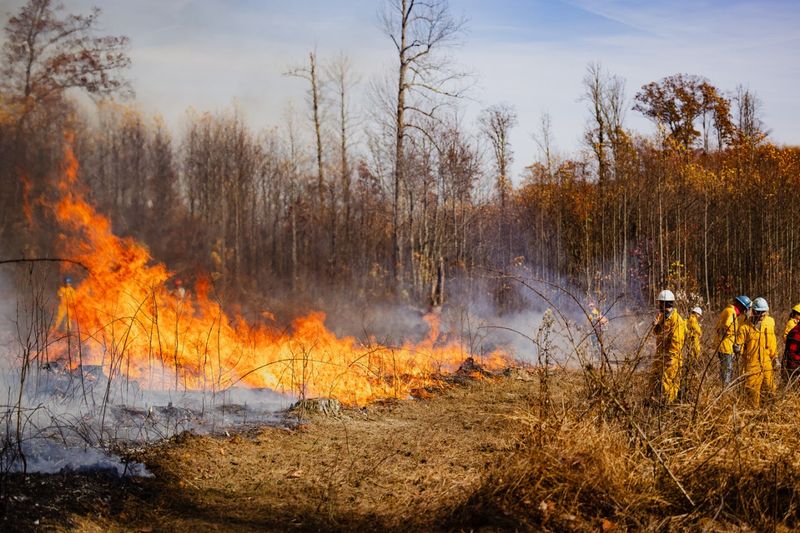Fall Fire Season Runs Into Late November Fall Fire Season Runs Into Late November