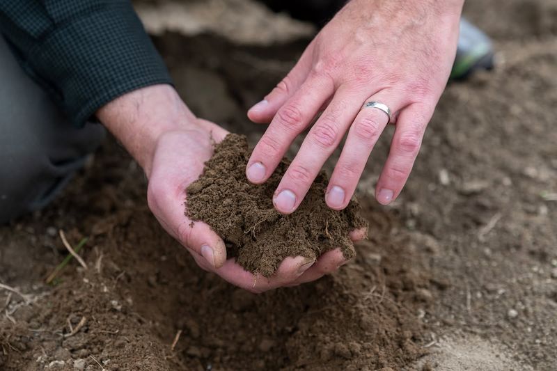 Fall Is A Good Time To Check Soil Before Spring Planting