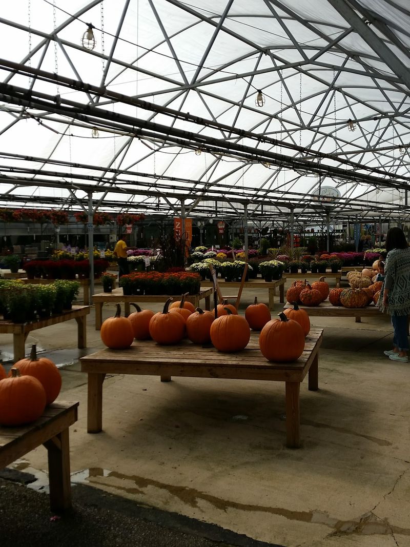 Fall Is Still A Good Time To Plant Perennials Fall Is Still A Good Time To Plant Perennials