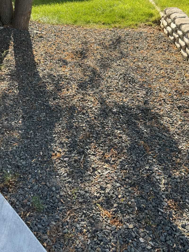 Fall Leaves Will Test Your Patience In Gravel Fall Leaves Will Test Your Patience In Gravel