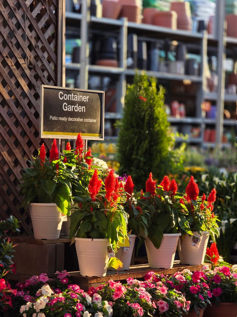 Fall Sales Make Spending Smarter
