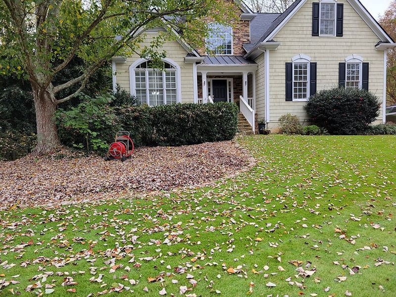 Fall Seeding Lines Up With Early Leaf Drop Fall Seeding Lines Up With Early Leaf Drop