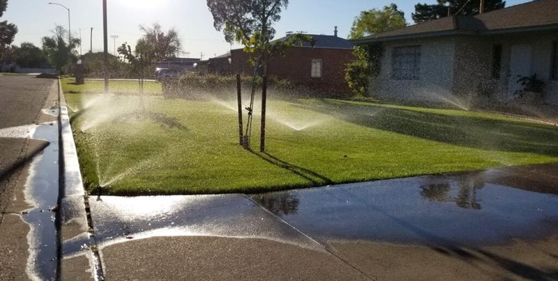 Fall means fewer watering days, not a summer schedule Fall means fewer watering days, not a summer schedule