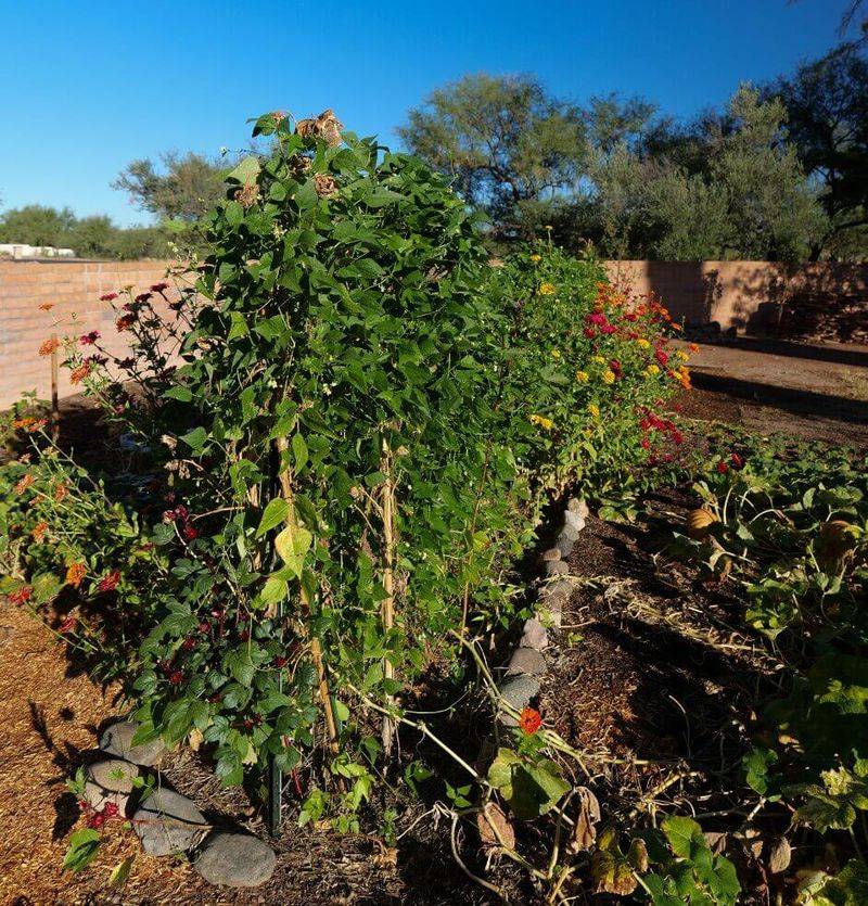 Fall planting and drainage checks reduce avoidable problems Fall planting and drainage checks reduce avoidable problems
