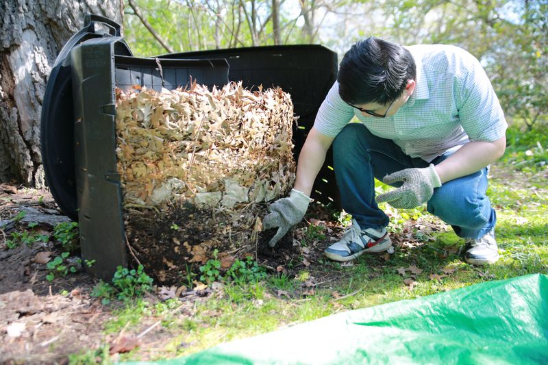 Fallen Leaves And Yard Clippings Make Free Compost Fallen Leaves And Yard Clippings Make Free Compost