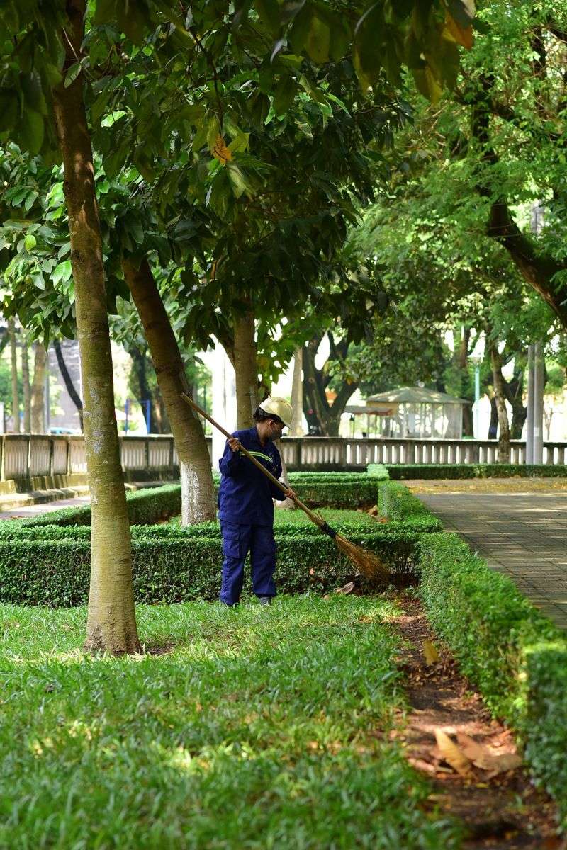 Fallen Leaves Are Free Fertilizer