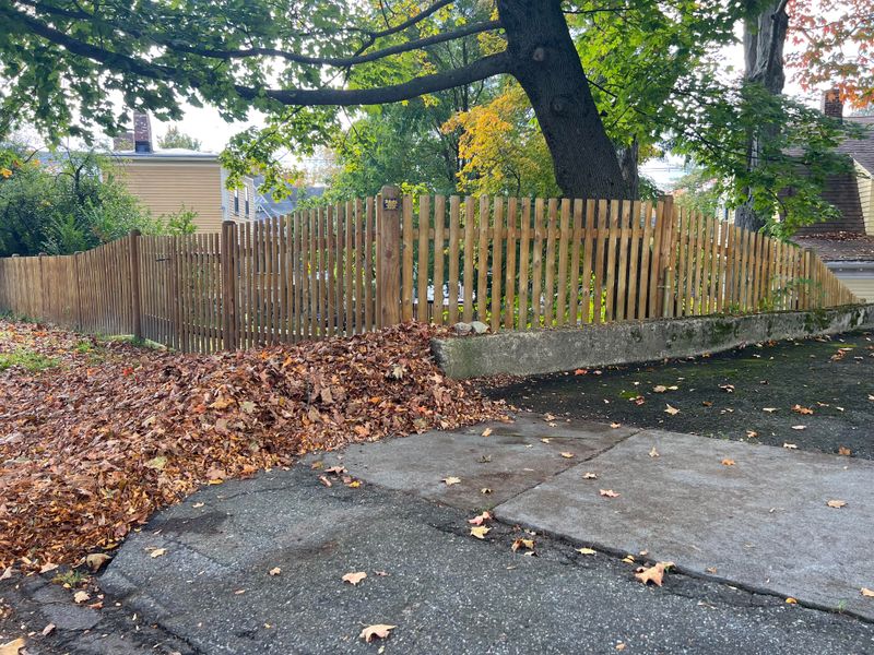 Falling Leaves Alone Rarely Count As A Legal Nuisance