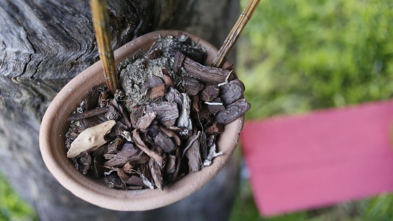 Fast Draining Potting Mix With Bark And Perlite