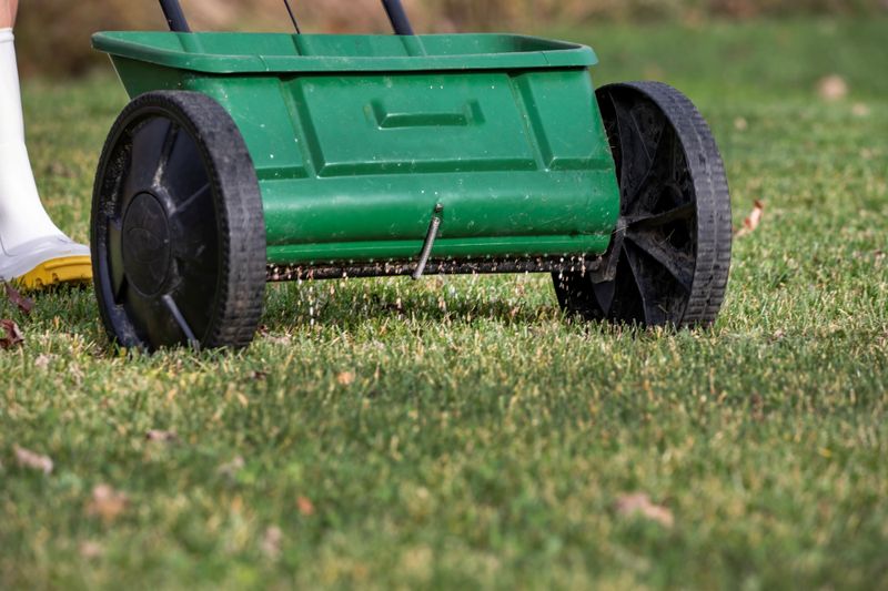 Feed Cool Season Lawns A Light Fall Dose Feed Cool Season Lawns A Light Fall Dose