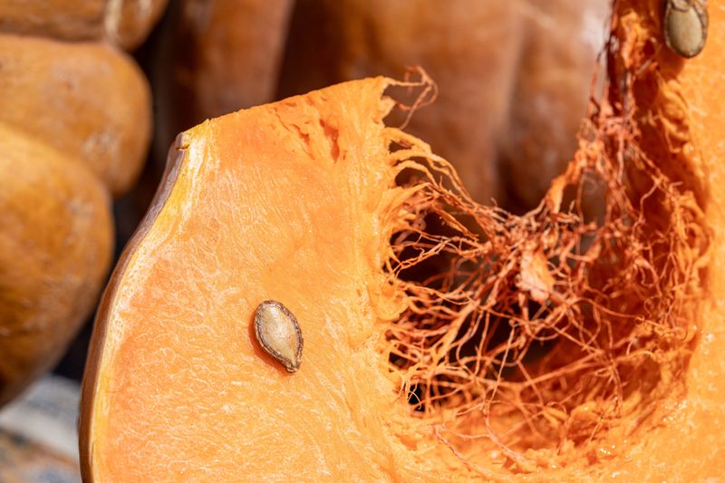 Feed Soft Pumpkin Scraps To Your Worm Bin