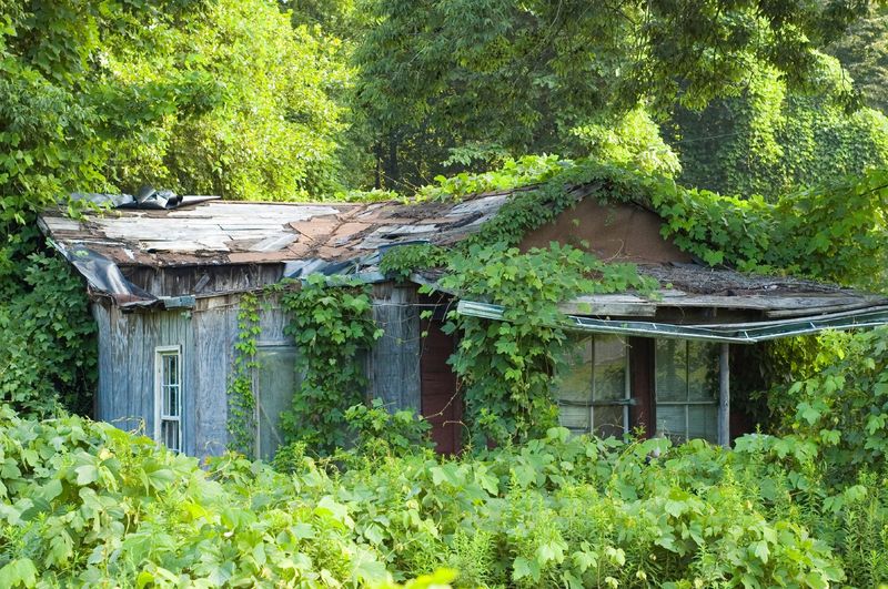 Fences And Sheds Vanishing From View Fences And Sheds Vanishing From View