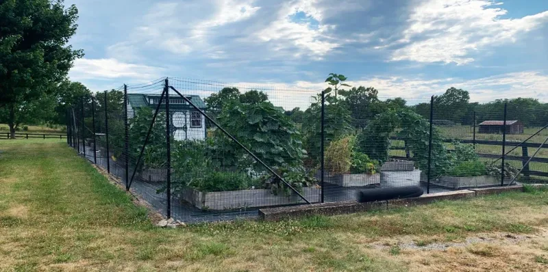 Fencing Works When Scents Fail