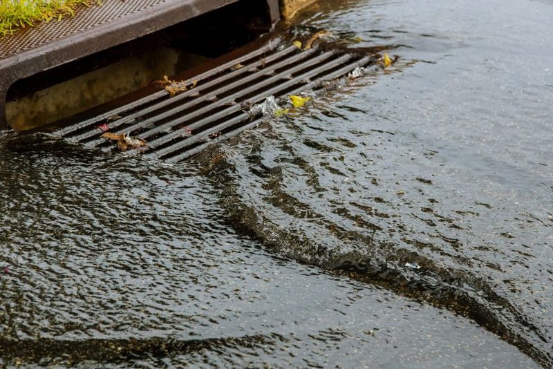 Fertilizer Washes Into Storm Drains Fertilizer Washes Into Storm Drains