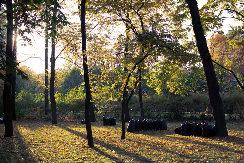 Fewer Leaf Bags Mean Less Hauling And Waste
