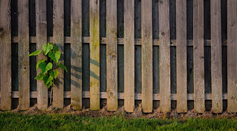 Figure Out Who Owns The Fence Figure Out Who Owns The Fence