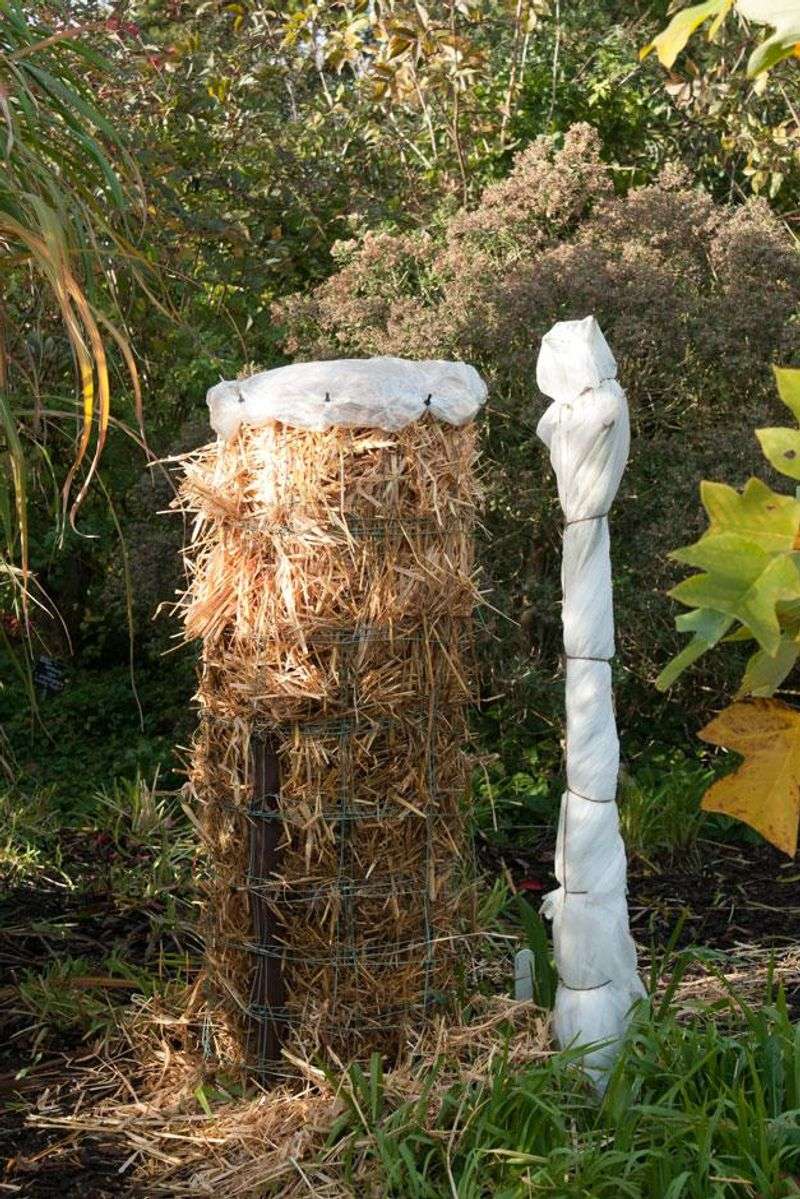 Fill A Chicken Wire Cage With Leaves Fill A Chicken Wire Cage With Leaves