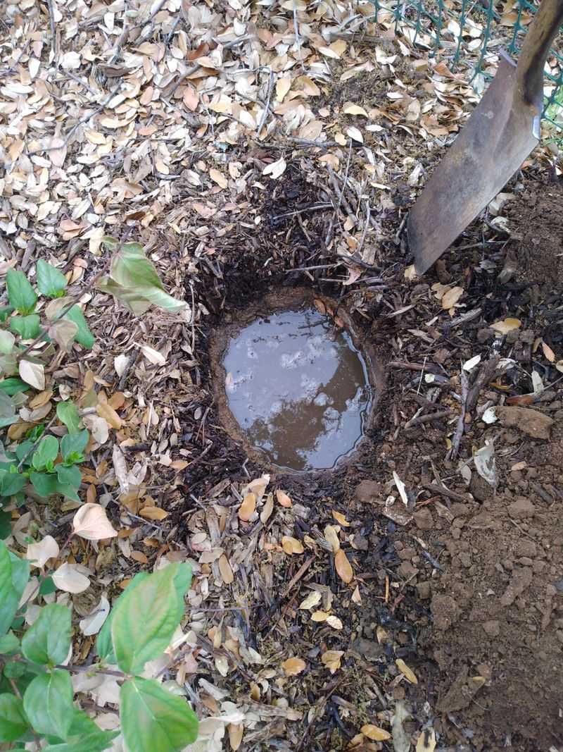 Fill The Hole Twice And Time The Second Draining
