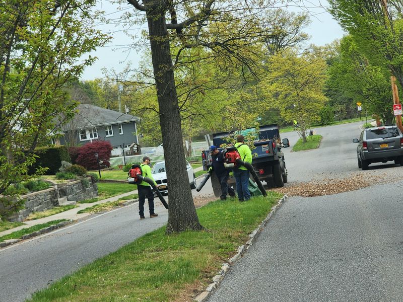 Fines Vary Widely From Town To Town