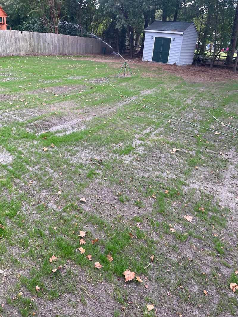 Finish Seeding Tall Fescue Bare Spots Finish Seeding Tall Fescue Bare Spots
