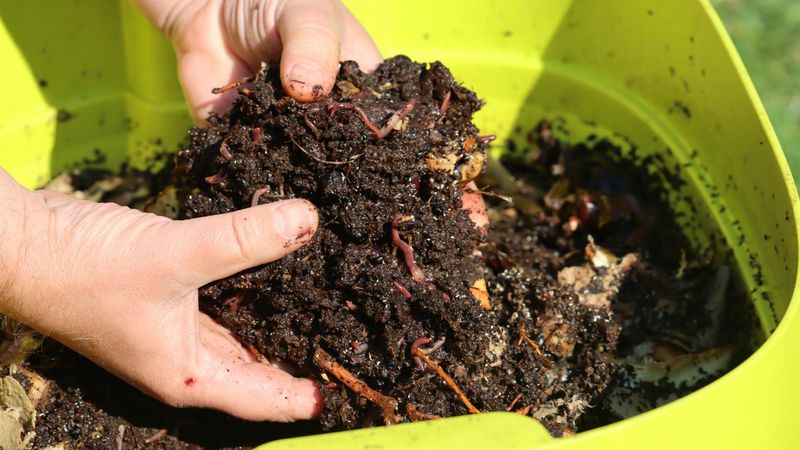 Finished Compost Is The Only Kind Worth Adding In October Finished Compost Is The Only Kind Worth Adding In October