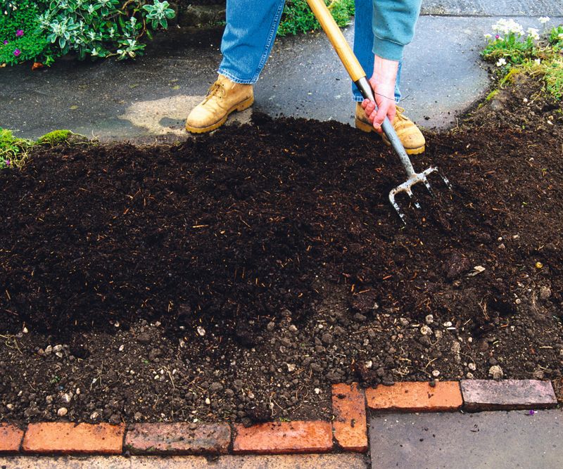 Finished Compost Worked Into Depleted Beds