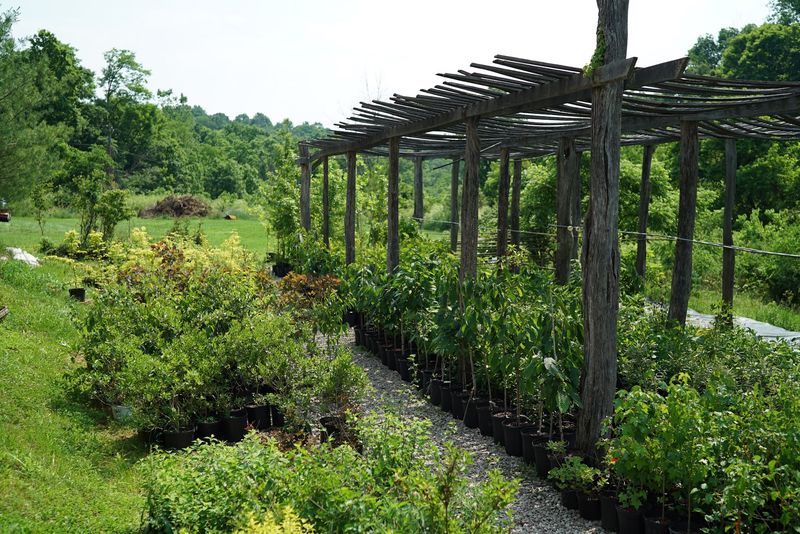 Five Springs Farm, Athens Five Springs Farm, Athens
