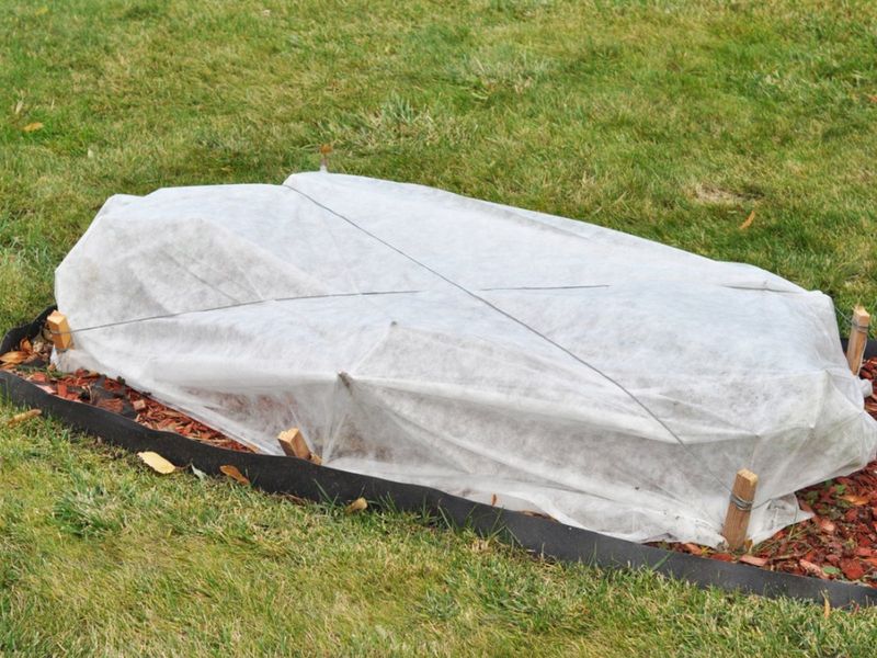 Floating Row Covers Add Several Degrees Of Protection