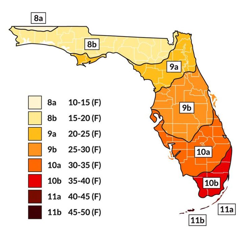 Florida Spans USDA Zones 8 Through 11
