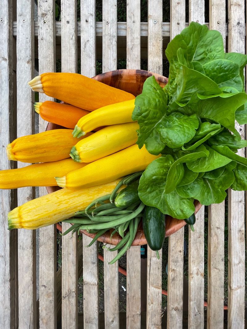 Florida’s Vegetable Year Splits Into A Warm And A Cool Season Florida’s Vegetable Year Splits Into A Warm And A Cool Season
