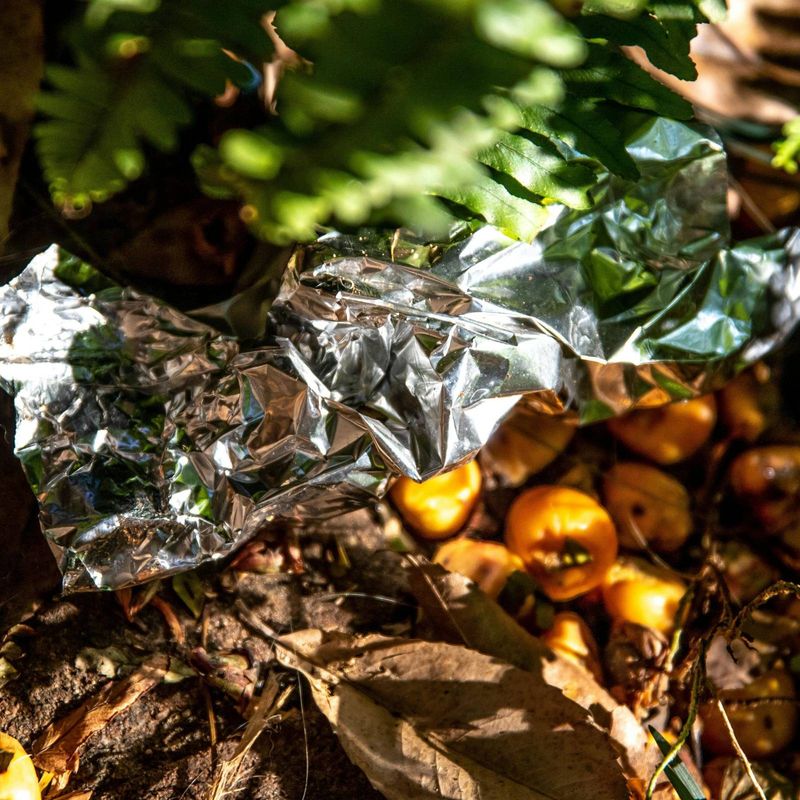 Foil Mulch Can Help Slow Insect-Spread Viruses Foil Mulch Can Help Slow Insect-Spread Viruses