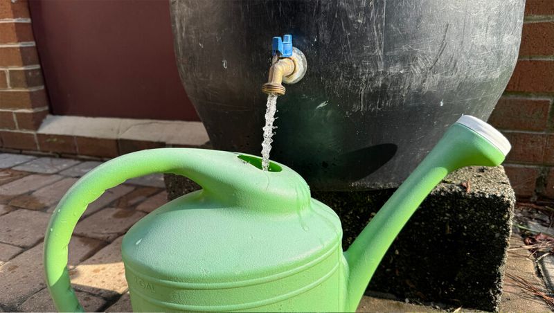 Follow Your Local Virginia Water Restrictions First