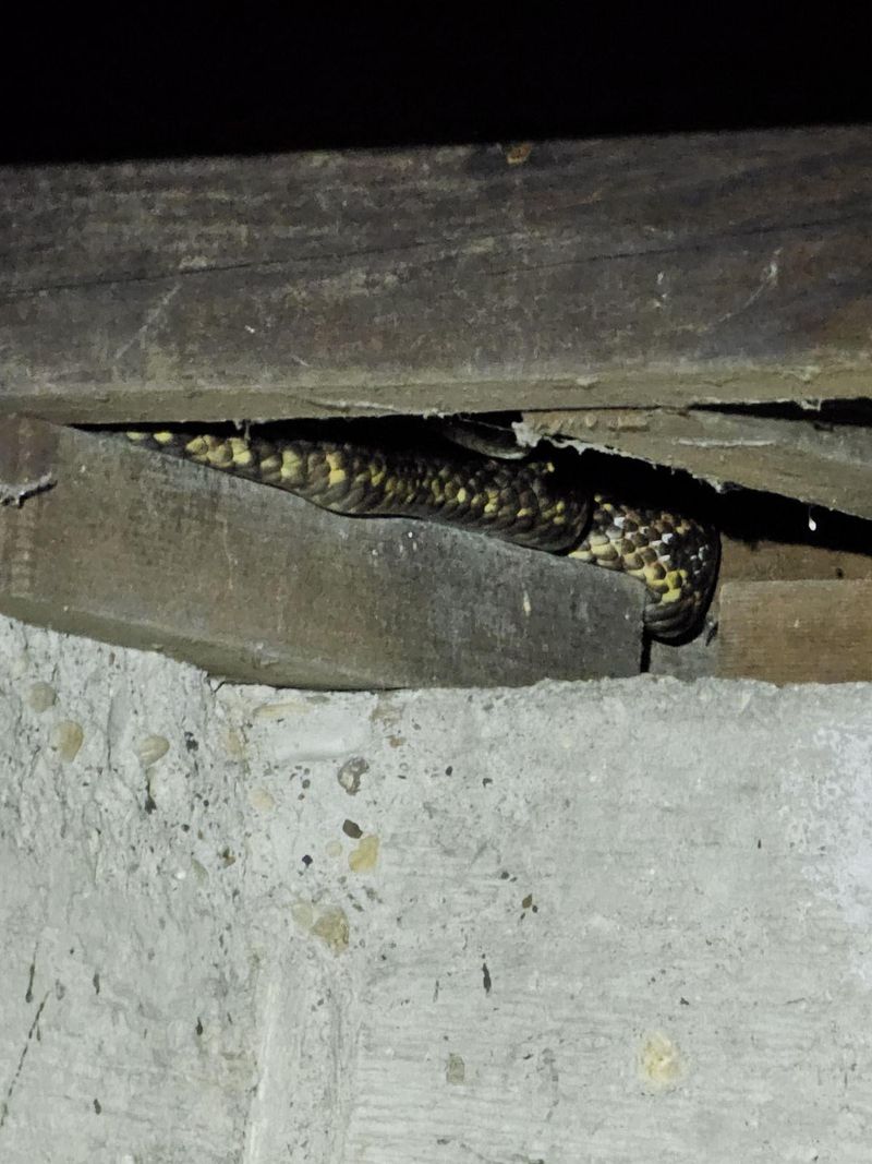 Foundation Repairs That Keep Them Outdoors
