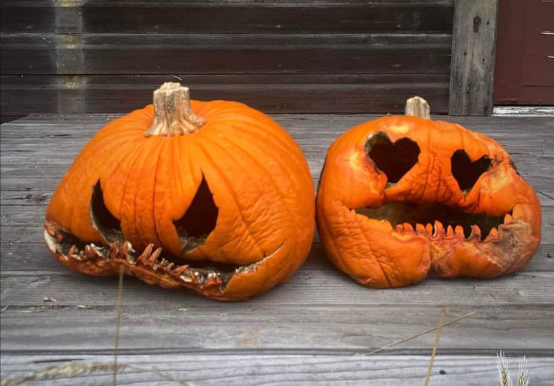 Freezing Nights Turn Pumpkins To Mush Freezing Nights Turn Pumpkins To Mush