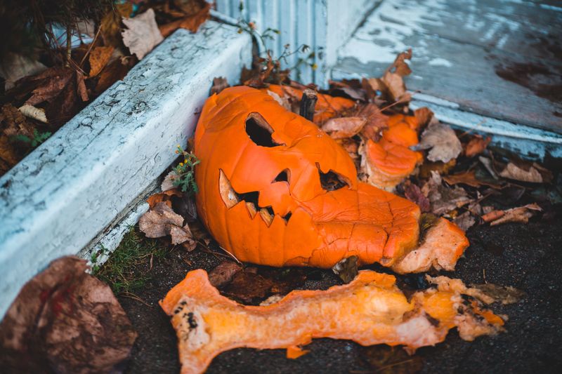 Freezing Turns Pumpkins To Mush