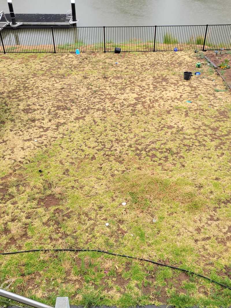 Fresh Water Is Your Lawn’s Best Friend Right Now Fresh Water Is Your Lawn’s Best Friend Right Now