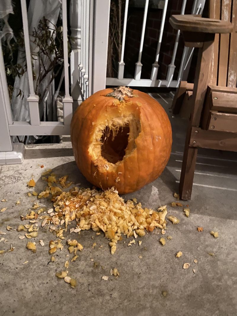 Freshly Cut Pumpkins Can Be Even More Tempting To Hungry Visitors