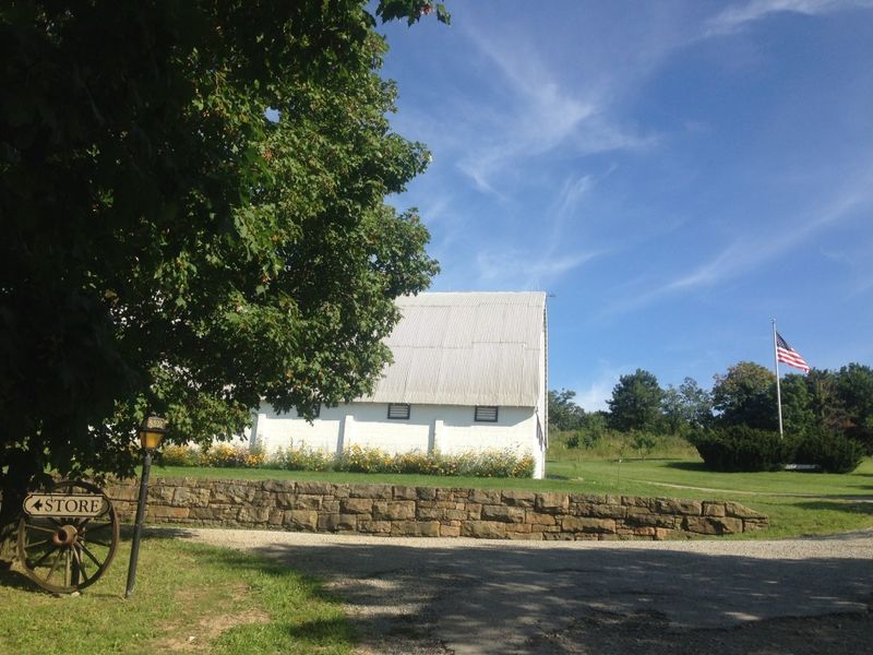 Friendship Farms In Latrobe