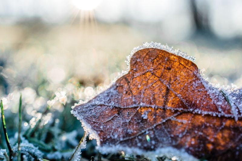 Frosty Mornings Arrive Sooner