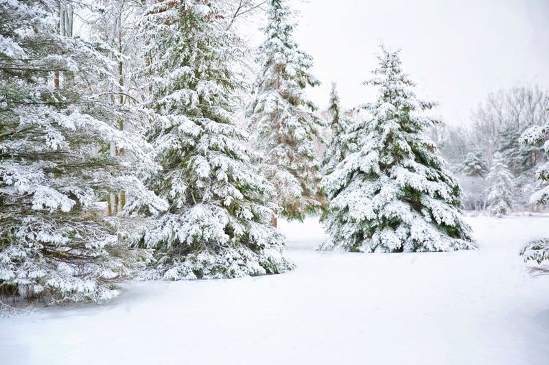 Frozen Ground Cuts Off Their Water Supply