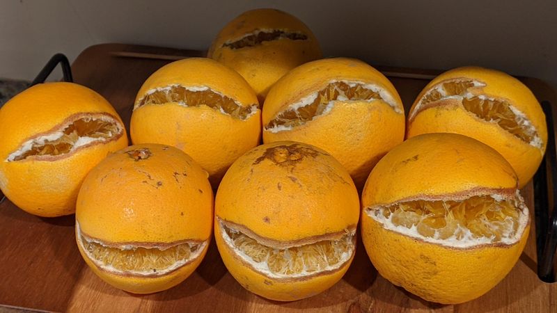 Fruit Splitting Peaks From August Through Fall