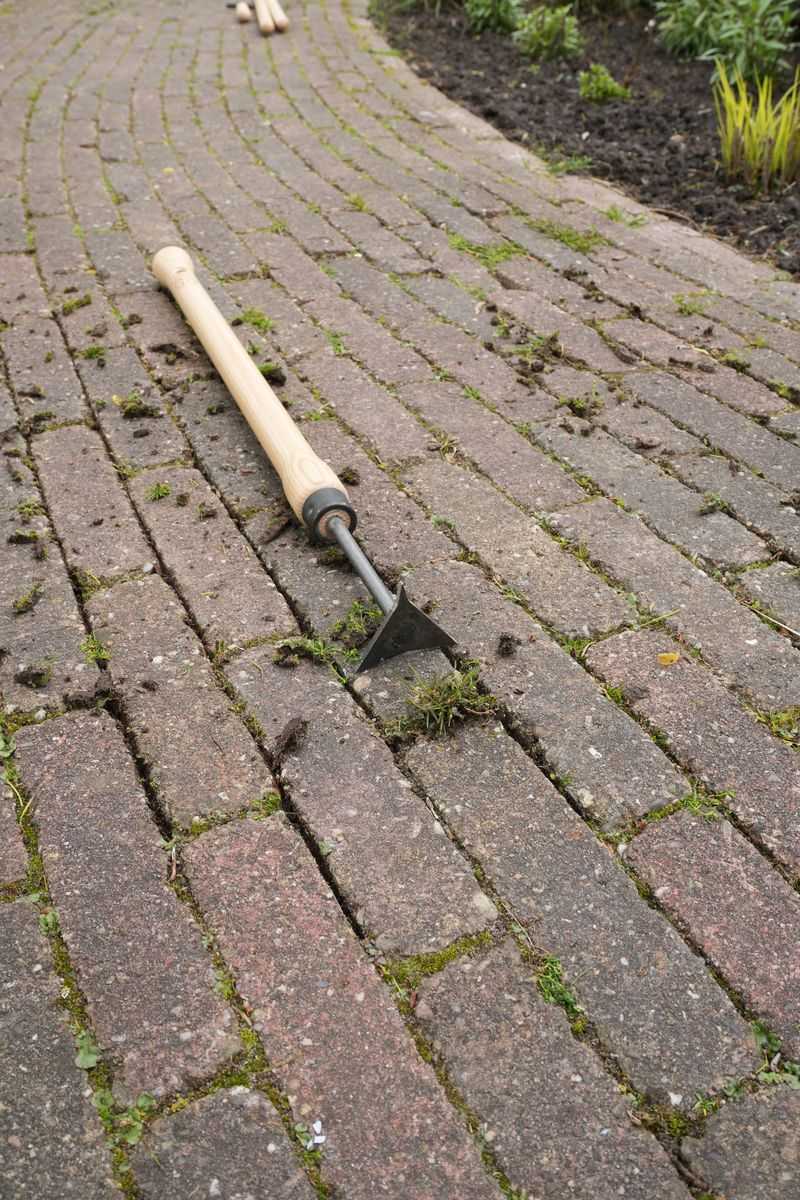 Gaps Between Pavers And Stones Fill With Weeds