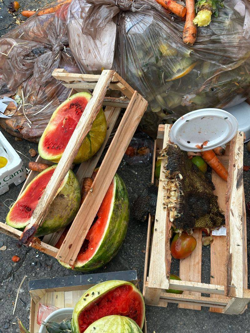 Garbage And Food Scraps Garbage And Food Scraps