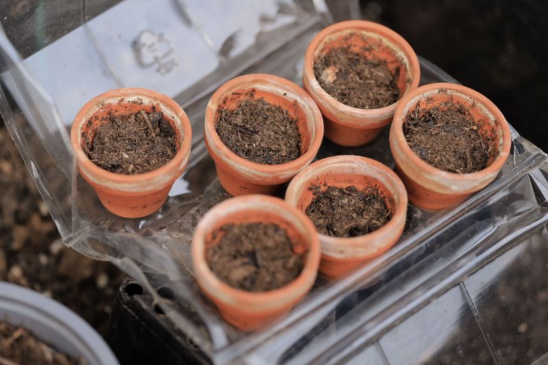 Garden Soil Doesn’t Belong In Containers