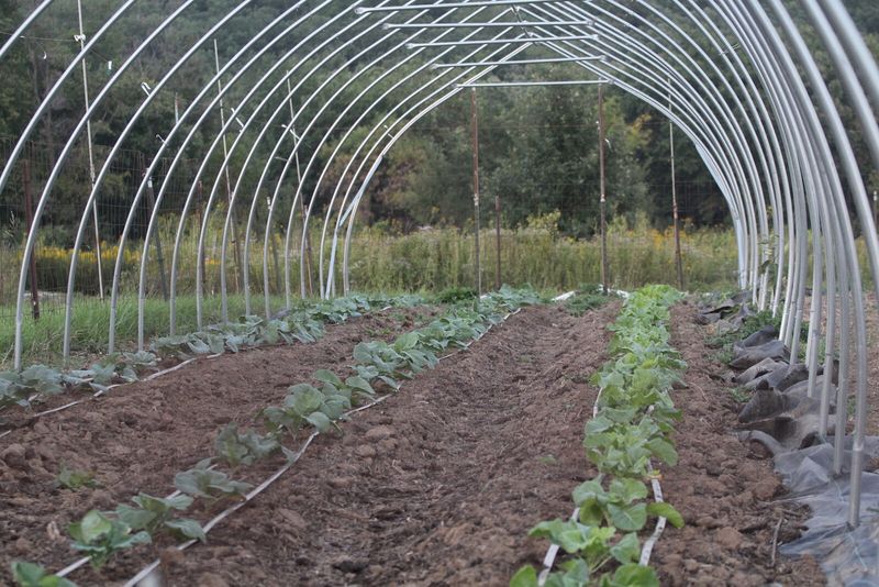 Gardeners Use The Date To Plan Ahead