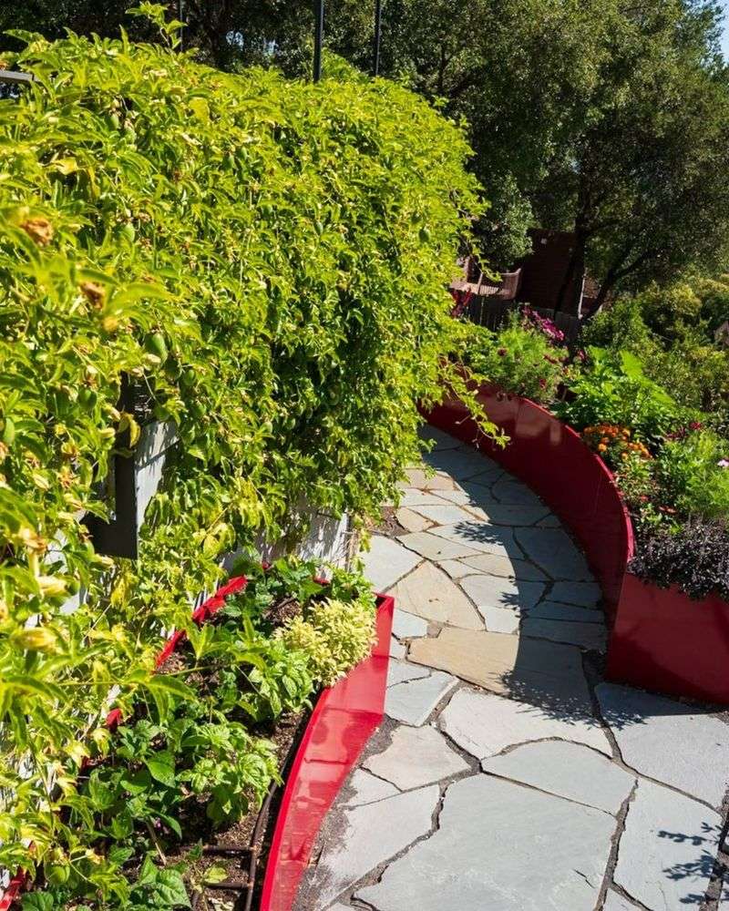 Gardens And Fruit Trees Fed Them All Summer Gardens And Fruit Trees Fed Them All Summer