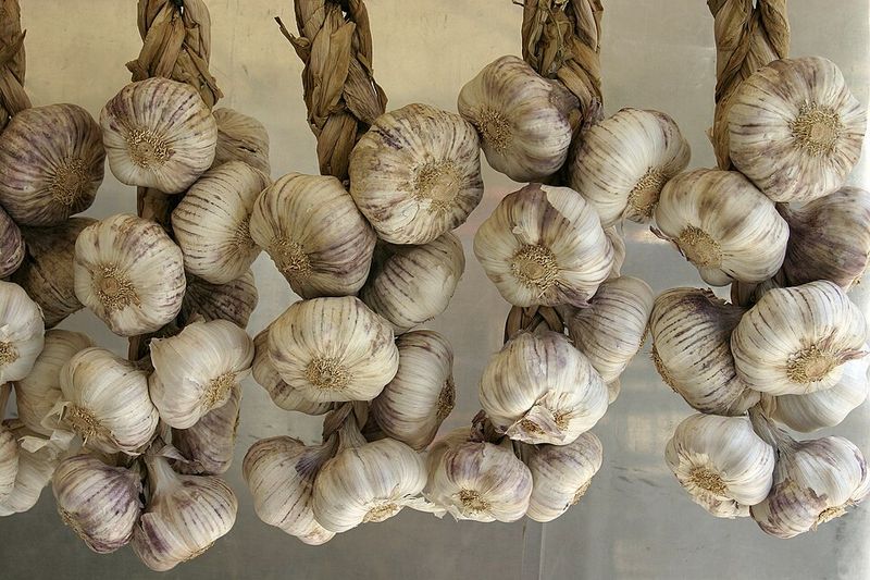 Garlic Garlic